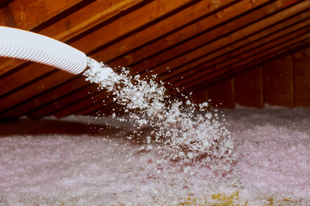 Best DIY Insulation Kits and Guidance in Highland Park, MI