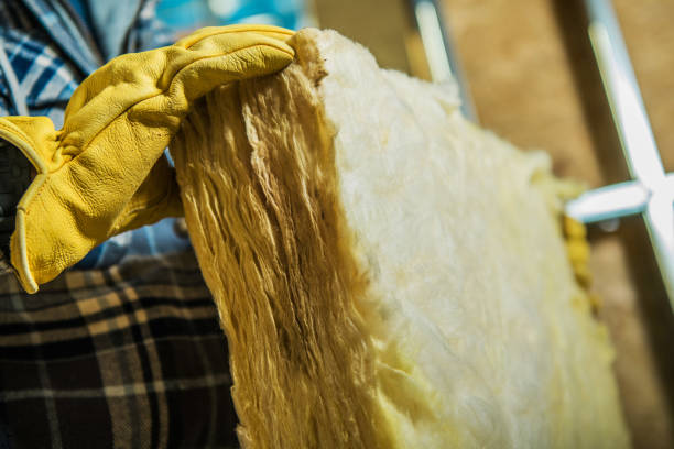 Best Eco-Friendly Insulation in Highland Park, MI
