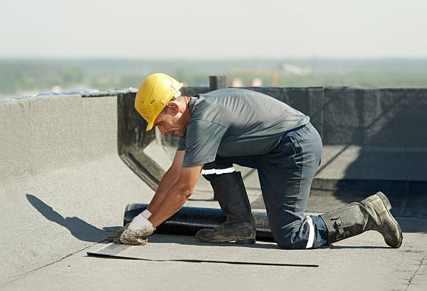 Trusted Highland Park, MI Insulation Contractor Experts