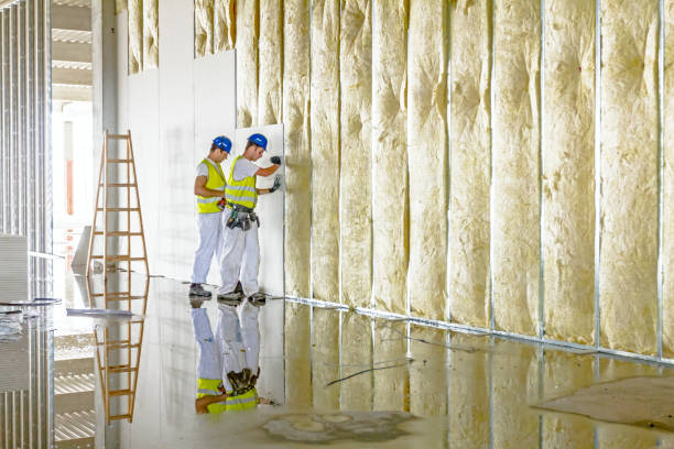 Best Cellulose Insulation in Highland Park, MI